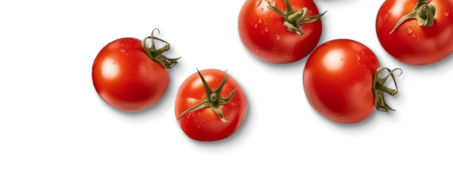 tomates-1-transparente